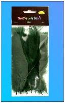 Opakowanie Piórka miękkie ciemnozielone 15szt