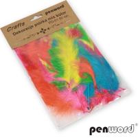 Opakowanie Piórka mix 10-15cm 50szt