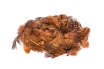 Opakowanie Piórka nakrapiane brązowe 3g