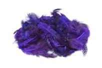 Opakowanie Piórka nakrapiane fioletowy 3g