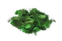 Opakowanie Piórka nakrapiane zielone 3g