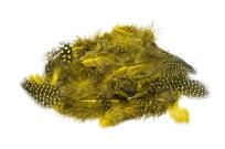 Opakowanie Piórka nakrapiane żółte 3g