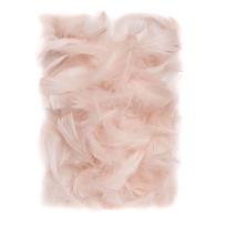 Opakowanie Piórka nude 5-12cm 10g