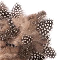 Opakowanie Piórka przepiórcze 5-12cm 5g