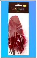 Opakowanie Piórka twarde bordowe 10szt