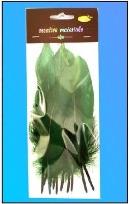 Opakowanie Piórka twarde ciemnozielone 10szt