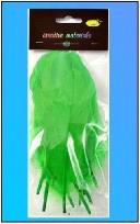 Opakowanie Piórka twarde jasnozielone 10szt