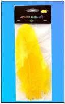 Opakowanie Piórka twarde żółte 10szt