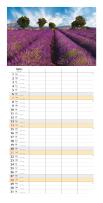 Opakowanie Planer 2024 miesięczny lawendowe pole