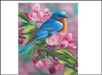 Opakowanie Płótno malarskie ze szkicem 40x50 89655