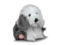 Opakowanie Pluszowy pies pasterski