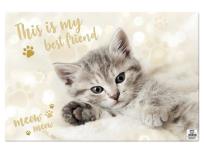 Opakowanie Podkładka na biurko MFP 60x40cm Kot