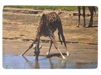 Opakowanie Podkładka na biurko piankowa żyrafa 60x40cm