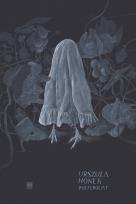 Okładka książki Poltergeist