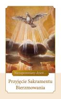 Okładka książki Przyjęcie Sakramentu Bierzmowania