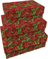 Opakowanie Pudełka ozdobne Gwiazda betlejemska Święta 3szt