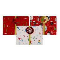 Opakowanie Pudełko na karty podarunkowe Narciarze 3 szt.