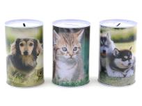 Opakowanie Puszka skarbonka z kotkiem