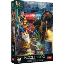 Opakowanie Puzzle 1000 Ekspres czarownic TREFL