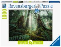 Opakowanie Puzzle 1000 Lasy