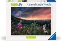 Opakowanie Puzzle 1000 Nadchodzi burza
