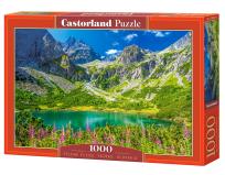 Opakowanie Puzzle 1000 Zelene Pleso, Tatras, Slovakia CASTOR