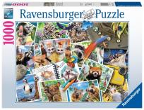 Opakowanie Puzzle 1000 Zwierzaki w podróży