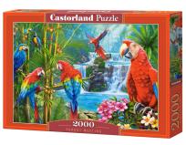 Opakowanie Puzzle 2000 Parrot Meeting C-200870-2