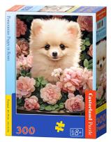 Opakowanie Puzzle 300 Pomeranian Puppy in Roses CASTOR