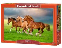 Opakowanie Puzzle 500 Horses in Spring Rush