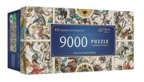 Opakowanie Puzzle 9000 Ancient Celestial Maps TREFL
