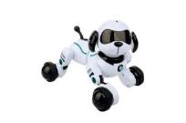 Opakowanie Robopies Twist