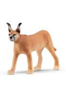 Opakowanie Samica karakala