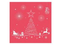 Opakowanie Serwetki BN P 33x33mm 12szt