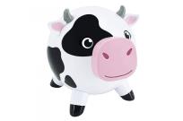 Opakowanie Skarbonka