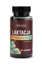 Zdjęcie produktu Skoczylas Laktacja dla kobiet karmiących 60kaps