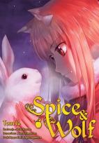 Okładka książki Spice and Wolf. Tom 14