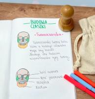 Opakowanie Stempel twarzoczaszka