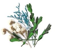 Opakowanie Suszone kwiaty dekoracyjne MIX