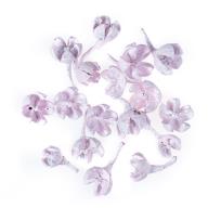 Opakowanie Suszone owoce różowe 10g