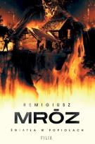 Okładka książki Światła w popiołach wyd. kieszonkowe