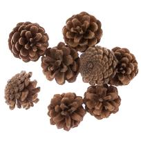 Opakowanie Szyszki 8szt