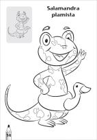 Opakowanie Tatrzańskie zwierzaki kolorowanka 2 sztuki