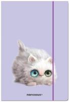 Opakowanie Teczka A4 FUN Kotek zamykana na gumkę 10 sztuk