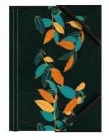 Opakowanie Teczka A4 kartonowa z gumką narożną liście (6szt)