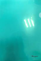 Opakowanie Teczka A4+ plastikowa koszulka L