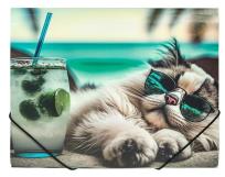 Opakowanie Teczka A4 PP na gumkę z nadrukiem Chillout Cat