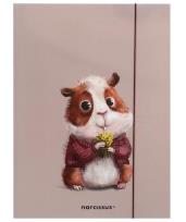 Opakowanie Teczka A4 z gumką Chomik