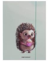 Opakowanie Teczka A4 z gumką Jeżyk