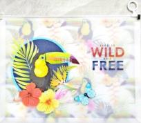 Opakowanie Teczka A4+ z plastikowym suwakiem Tukan P0117